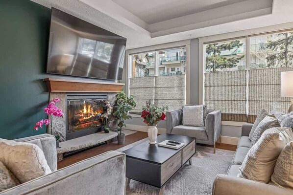 TV, fireplace, stereo, offices