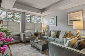 TV, fireplace, stereo, offices