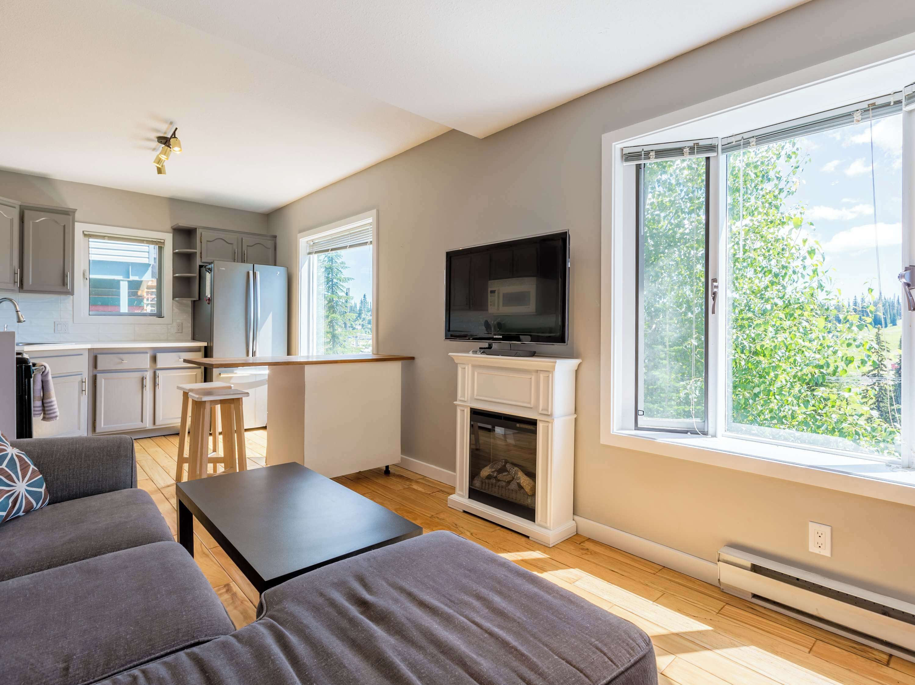 TV, fireplace, offices