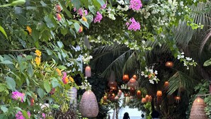 A pathway lined with lush greenery and hanging lanterns, leading to a beach area. - Odi Kamadhoo (Kamadhoo)