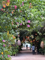 Smart TV, libros, biblioteca de música, videoteca