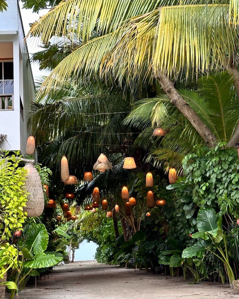 ODI KAMADHOO - Bild 2