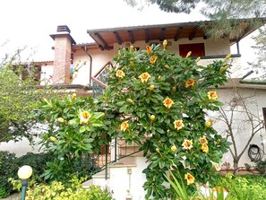 Dettaglio esterni