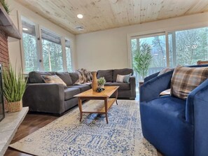 智能電視、壁爐、電子遊戲、書籍