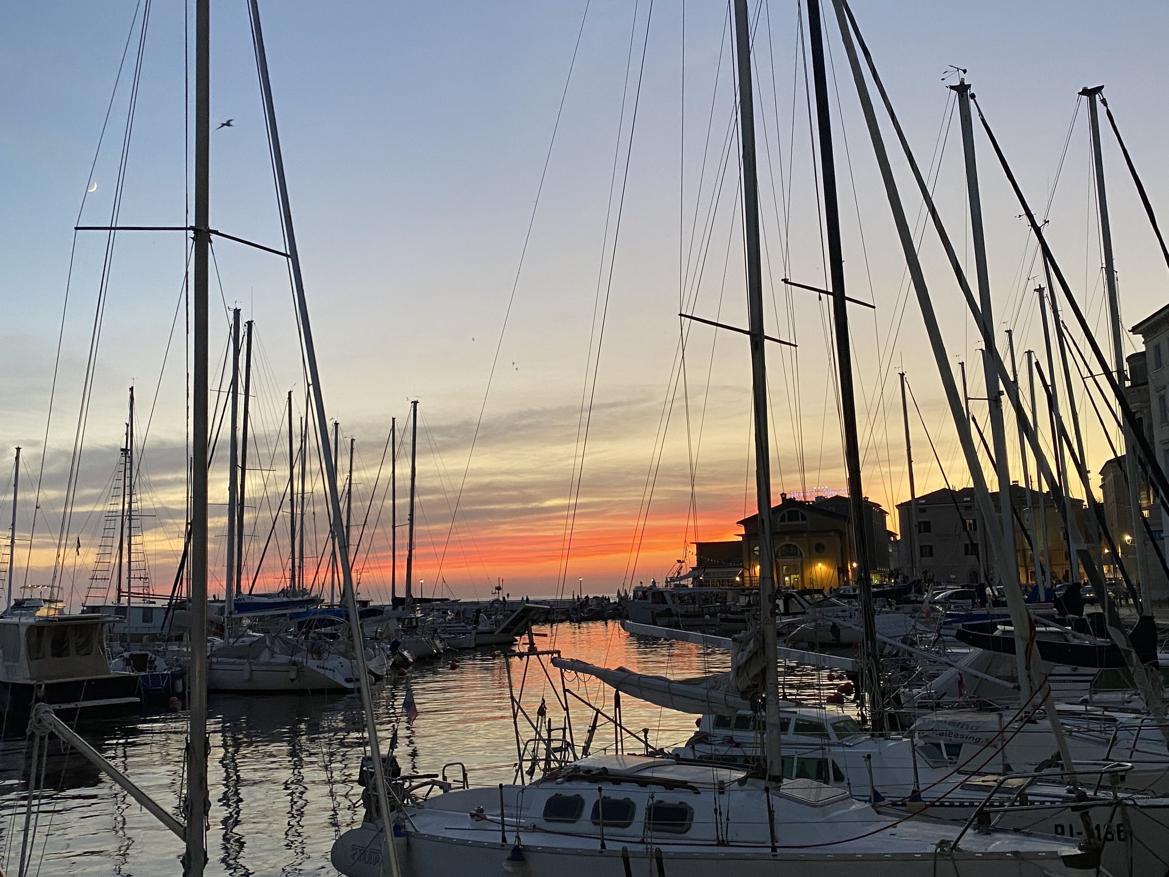 Marina