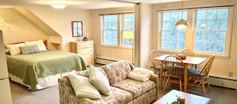 Peaceful Mtn Studio Pet-friendly