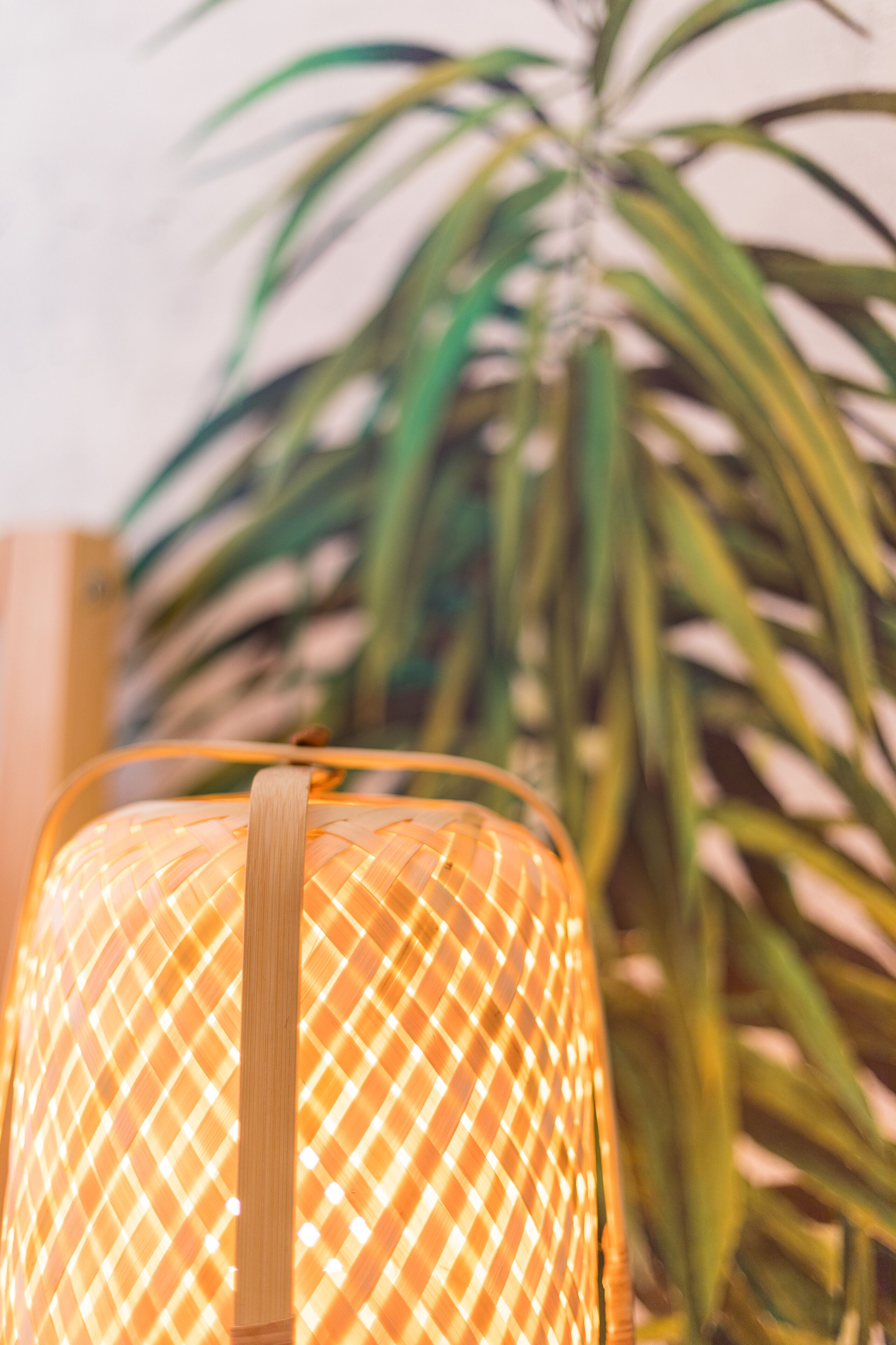 Detailaufnahme einer gewebten Lampe mit Henkel vor einer grünen Pflanzenkulisse.