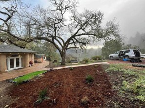 Un quartier résidentiel avec un grand arbre, une allée et un VUS garé.