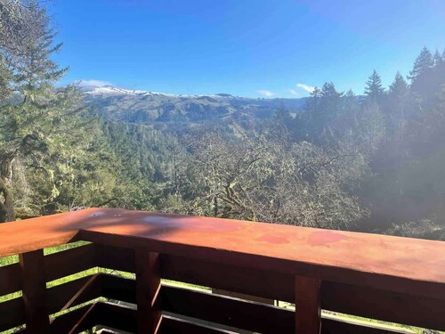 The Hobbit House: Avenue of The Giants Adventure!