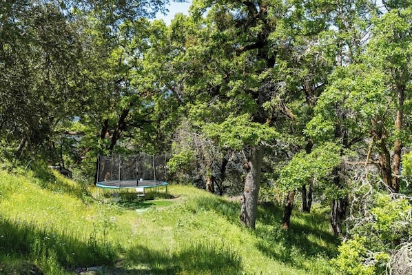 Un trampoline installé dans un espace boisé, avec des arbres et de l’herbe.