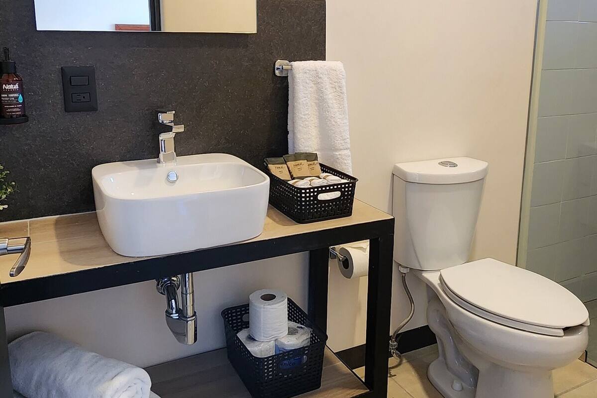 shower, free toiletries, hair dryer, towels