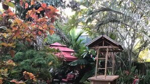 Ein Garten mit einem hölzernen Gartenpavillon, einem Kiesweg und verschiedenen tropischen Pflanzen.