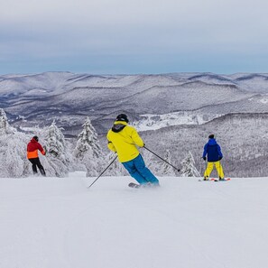 Snow and ski sports - Silver Creek #1311 - Cozy Mountain Top Retreat - SKI IN / SKI OUT! by RedAwning (Snowshoe)
