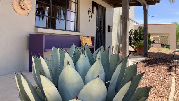 Una casa con un ventanal grande, un banco morado y un cactus al frente.