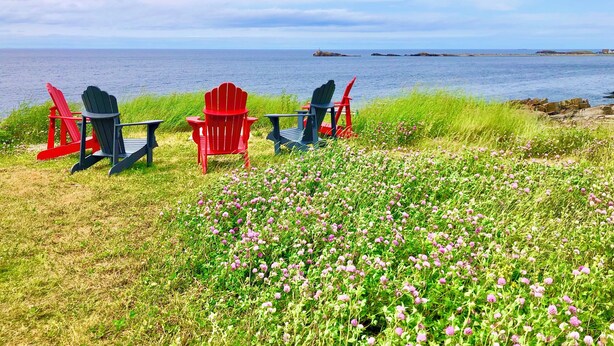 Une zone herbeuse avec trois fauteuils Adirondack disposés face à une étendue d’eau, sous un ciel dégagé.