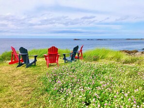 A grassy area with three Adirondack chairs facing a body of water, with a clear sky above.