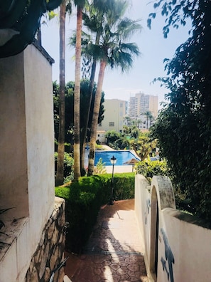 A pathway leading to a pool area surrounded by palm trees and greenery, with a view of buildings in the background.