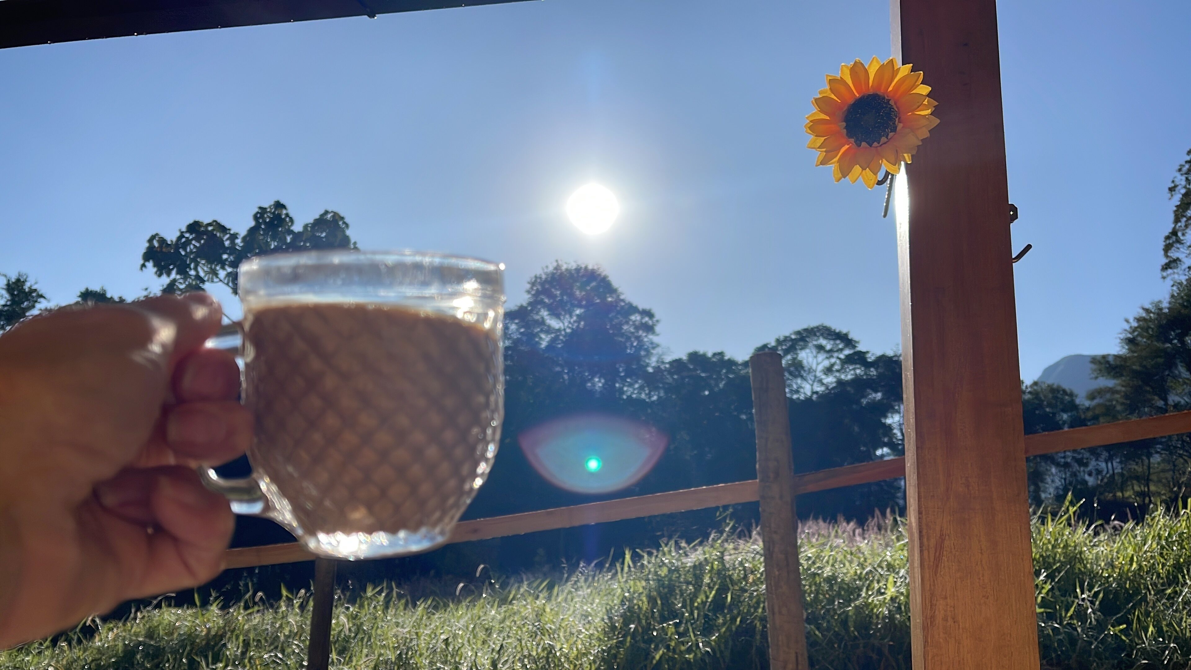 A hand holding a glass of liquid with a sun in the background and a sunflower decoration.