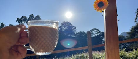 A hand holding a glass of liquid with a sun in the background and a sunflower decoration.