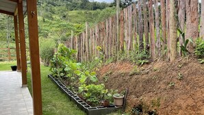 A garden area with a wooden fence, a paved walkway, and a variety of plants.
