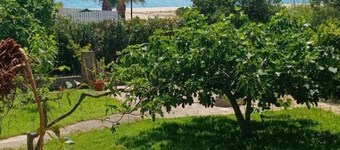 Splendida casa di fronte al mare con giardino