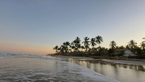 Una playa con palmeras y un mar tranquilo.