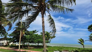 Vista a la playa con palmeras, cielo despejado y mar tranquilo.