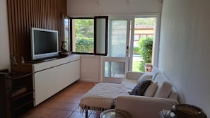 Smart TV, books, video library, computer monitors