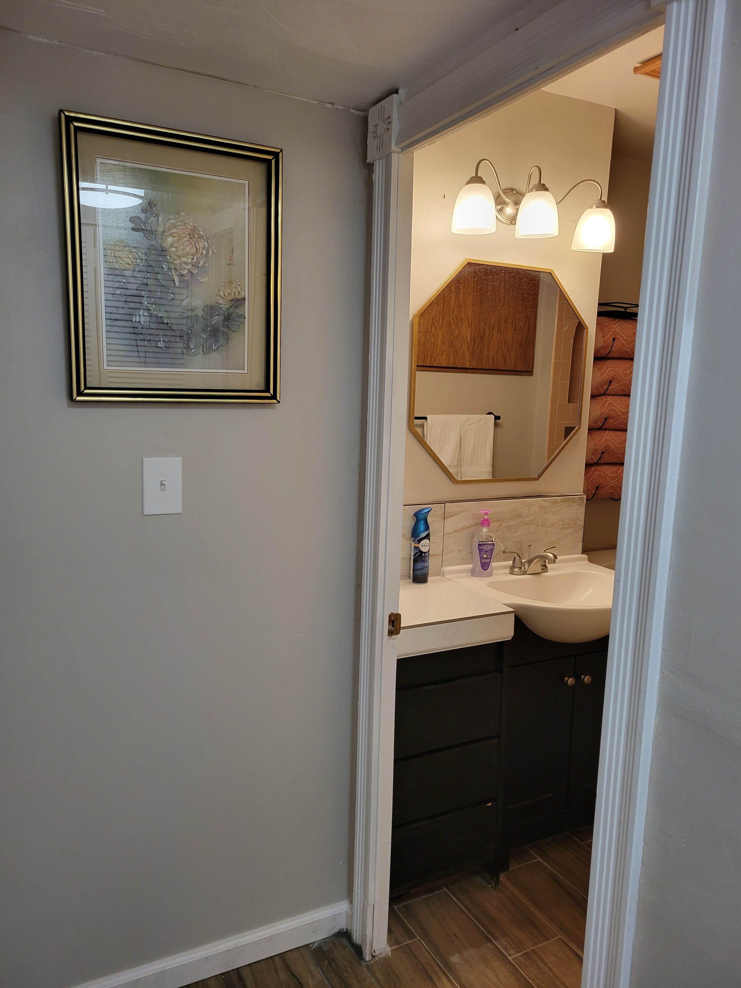 Hair dryer, towels, soap, shampoo