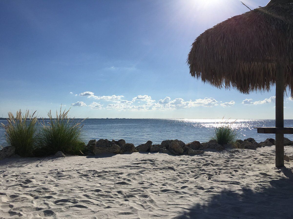 A beach with a thatched umbrella, sandy shore, and a calm sea.