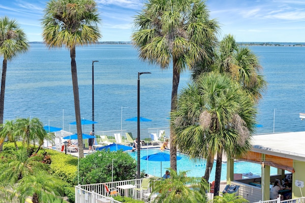 Outdoor pool, open 8:00 AM to 6:00 PM, sun loungers