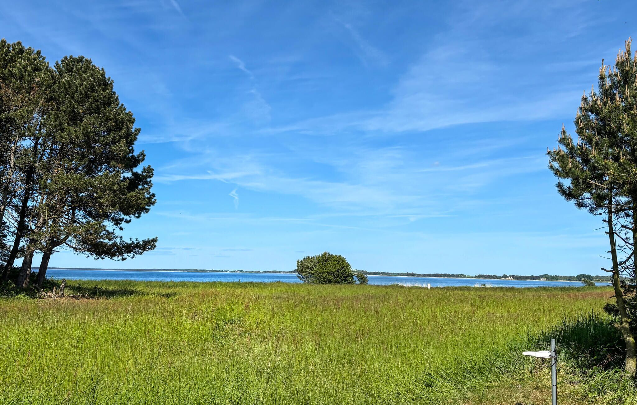 A grassy field with a lake and trees.
