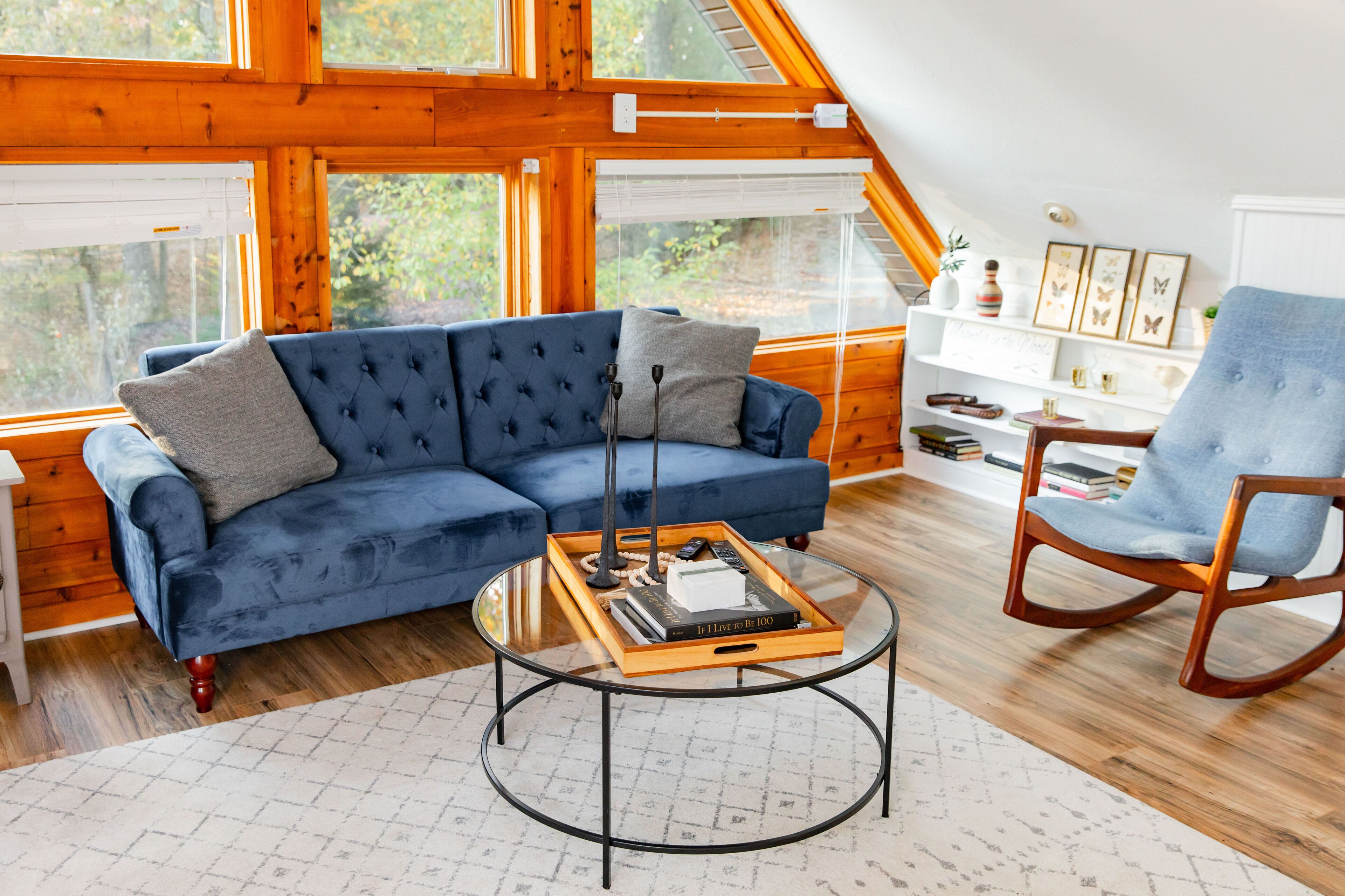 Smart TV, fireplace, books