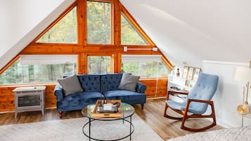 TV connectée, cheminée, livres