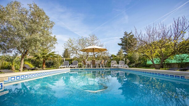 A clear blue pool with lounge chairs and an umbrella, surrounded by trees and greenery. - Spacious 5-bedroom Villa with pool and barbecue (Can Picafort)