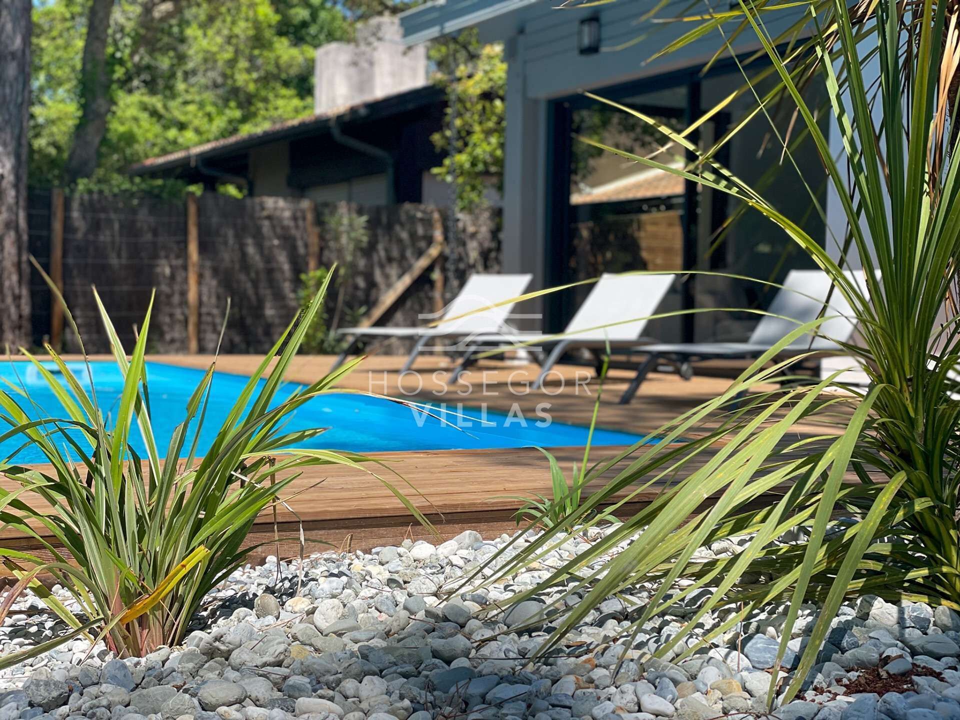 Une piscine entourée de galets et de plantes, avec des chaises longues à proximité.