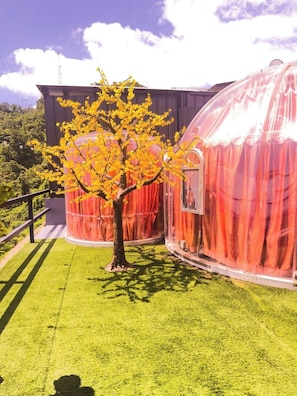Property grounds - OCEAN IGLOO (Rincon)