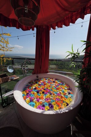 Property grounds - OCEAN IGLOO (Rincon)