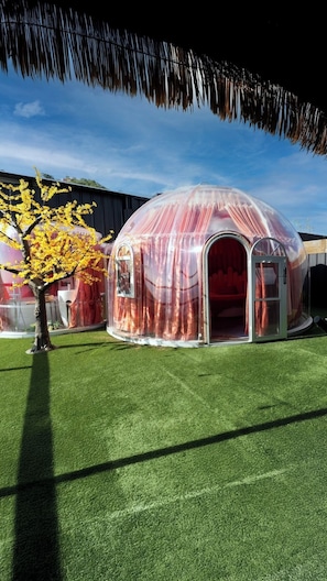 Exterior - OCEAN IGLOO (Rincon)
