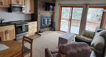 Schuss Village, Fall colors, sleeps 6 condo w/ 2 bathrooms, wood fireplace