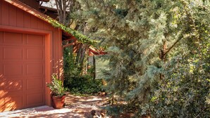 A garage door, a potted plant, and a pathway leading to a house surrounded by dense shrubbery.