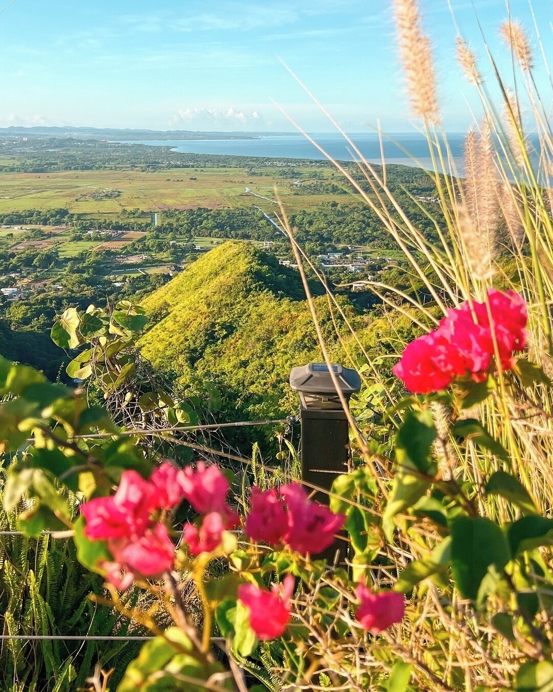 Ein malerischer Ausblick von erhöhter Position, der eine üppige grüne Landschaft, ein Gewässer und eine in der Ferne liegende Stadt zeigt.