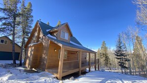 A wooden cabin with a covered porch and a snow-covered roof, surrounded by trees. - Pool-Table Game Room, Darts & Starlink - Pet-Friendly, Mtn Views (Fairplay)