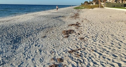 1 BED 1BATH 3 MIN. TO THE BEACH