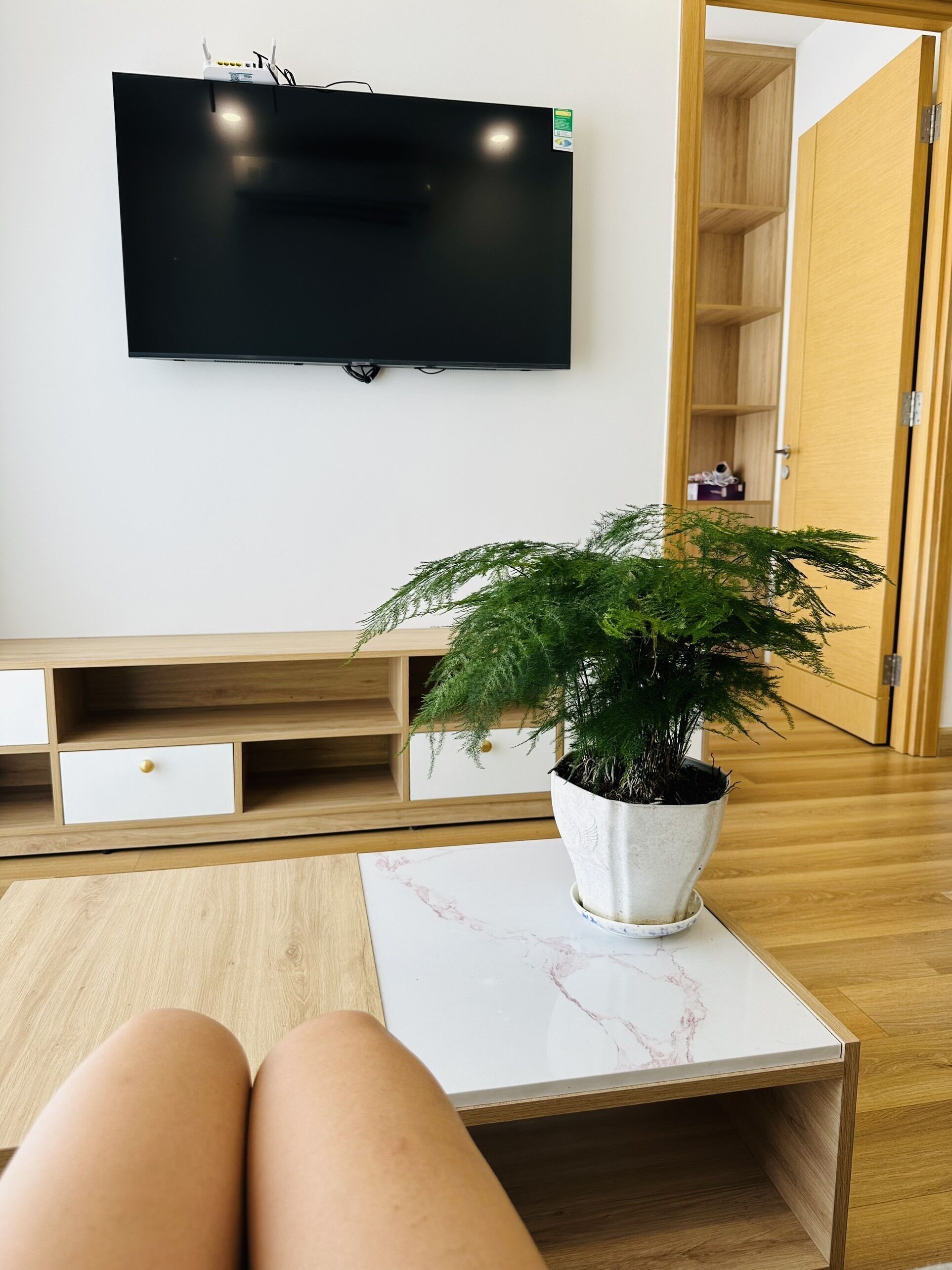A modern living room with a flat-screen TV mounted on the wall, a wooden cabinet with drawers, a potted plant on a marble-topped table, and a wooden door leading to another room.