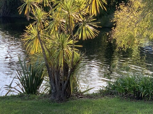 Riverside Paradise with beautiful view of river and tidal inlet