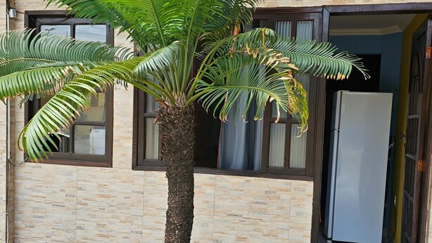 Een gebouw met een palmboom voor een raam, een deur en een koelkast.