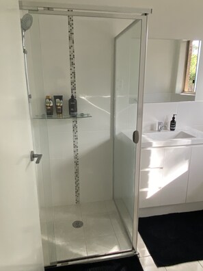 Shower, hair dryer, towels, soap