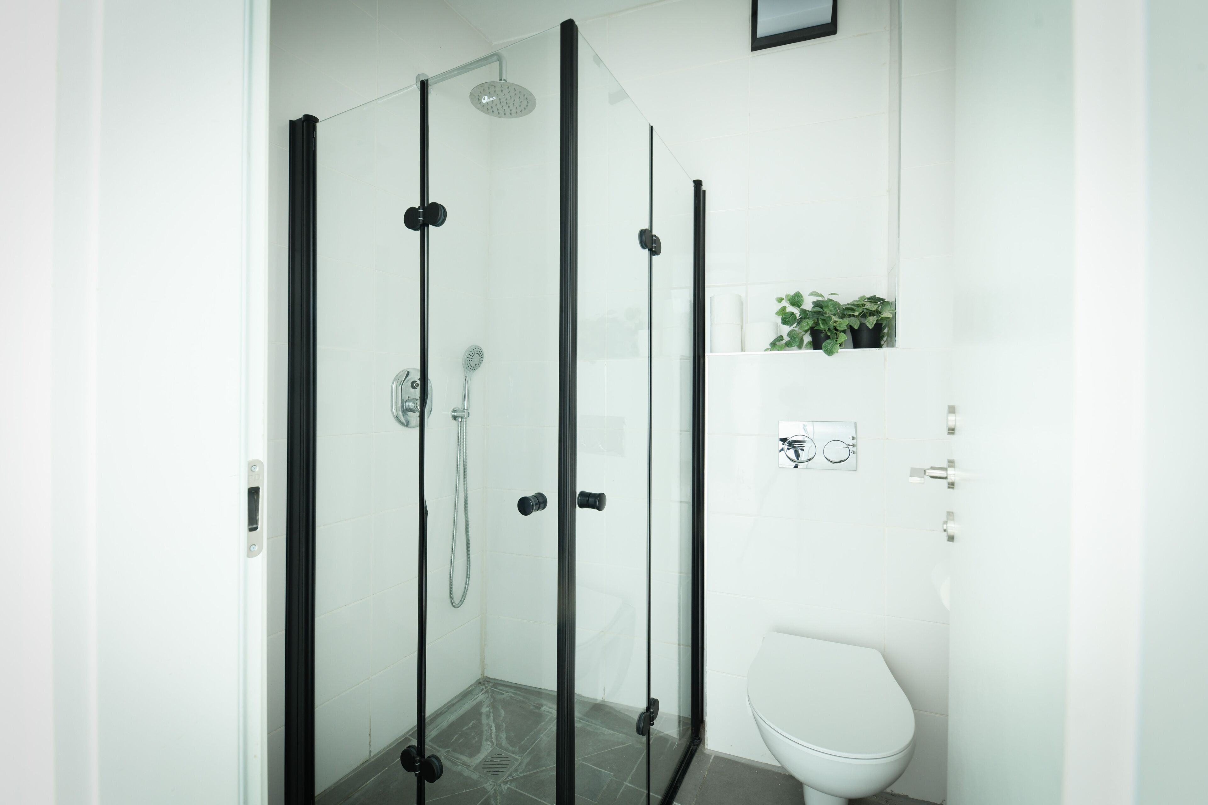 A modern bathroom with a glass-enclosed shower, a white toilet, and a small shelf with plants.