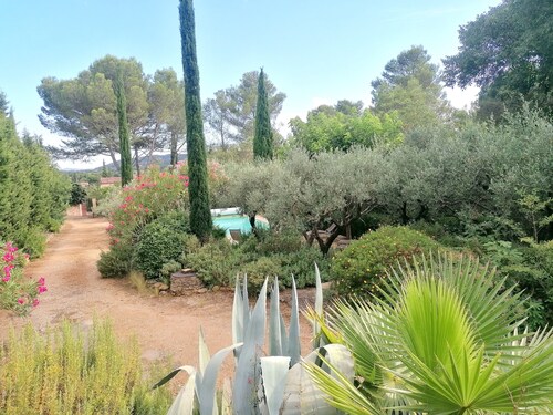 The whisper of the olive trees